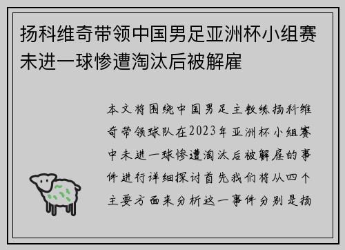 扬科维奇带领中国男足亚洲杯小组赛未进一球惨遭淘汰后被解雇